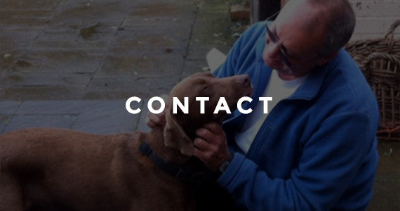 /pages/contact
